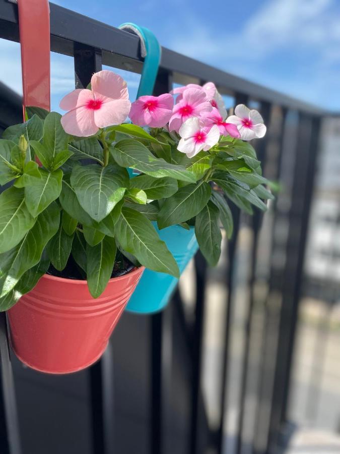 Coxy Penthouse Koksijdeアパートメント エクステリア 写真