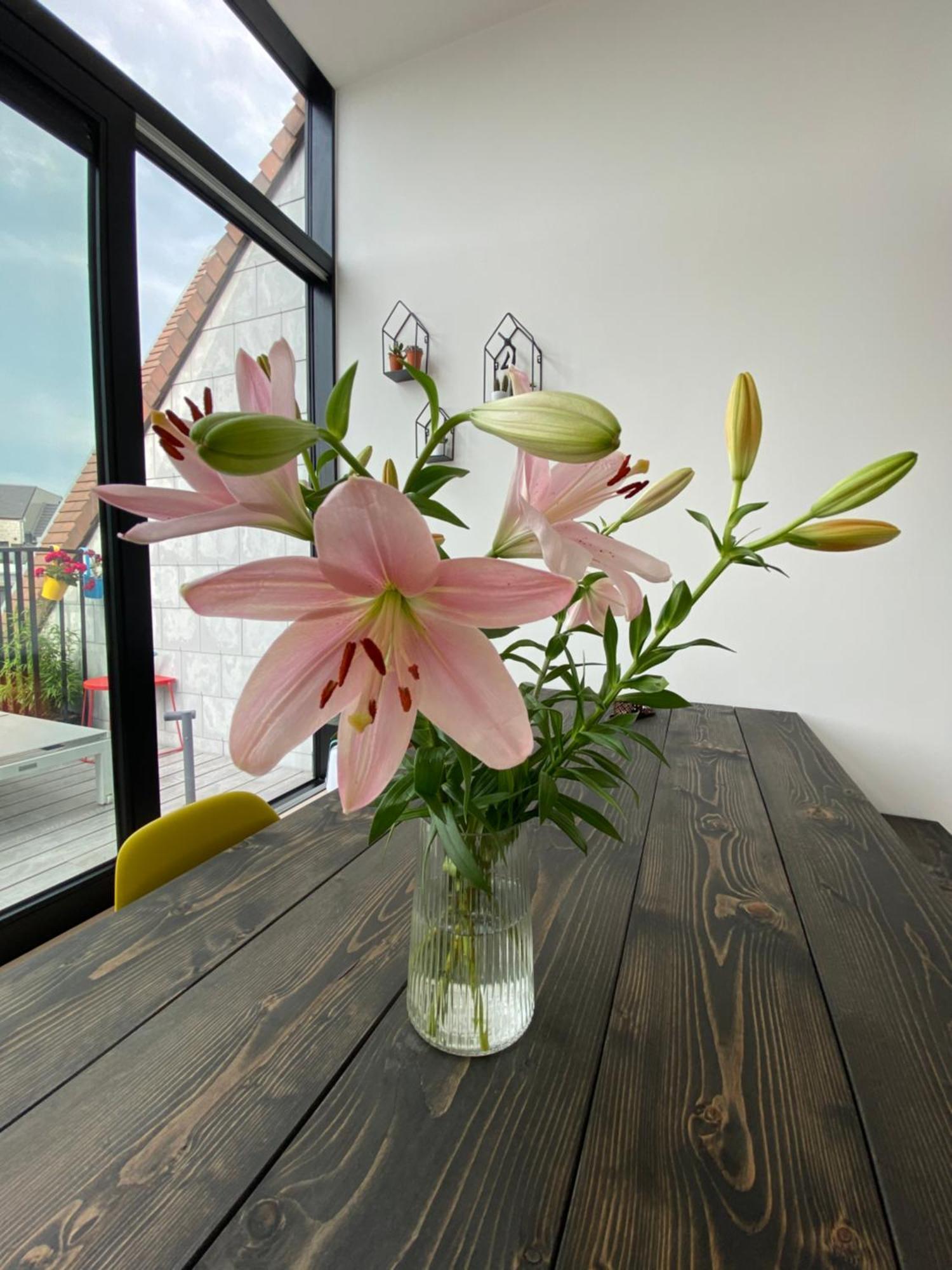 Coxy Penthouse Koksijdeアパートメント エクステリア 写真